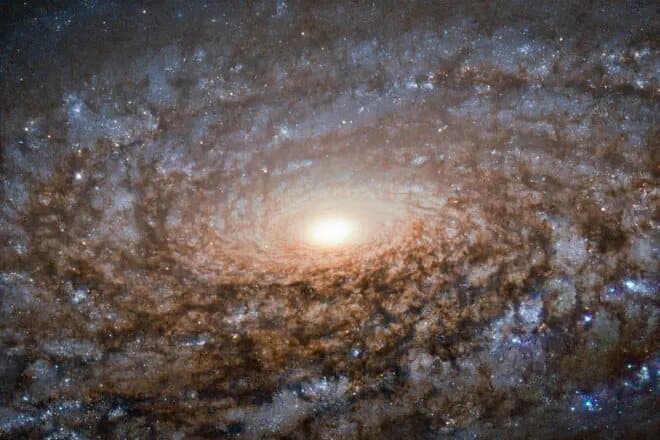 A spiral galaxy